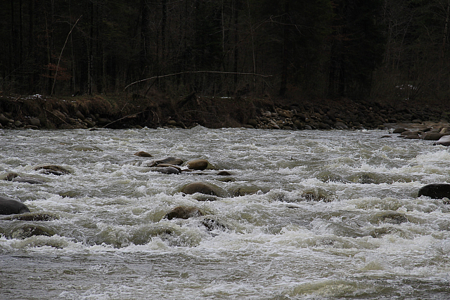 130421 KleineEmme 001