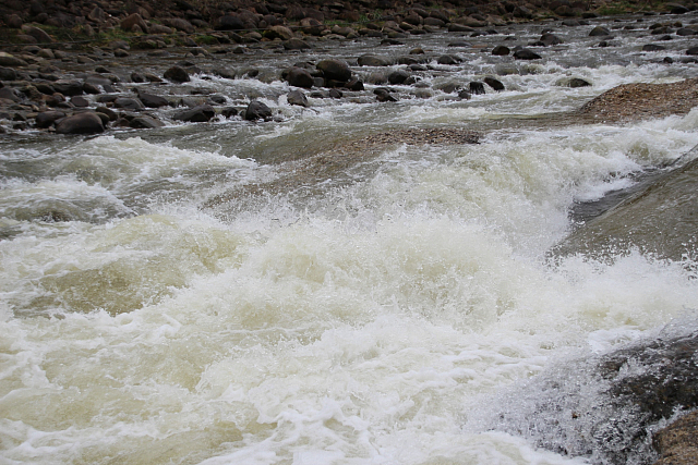 130421 KleineEmme 029